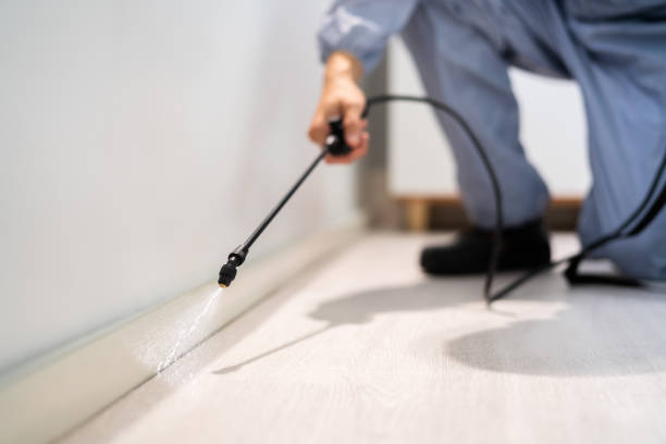 Licensed Pest Control service in Scaggsville, MD - Show Me Pest Control