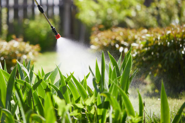 Tamper-Resistant Bait Stations for Rodents in Scaggsville