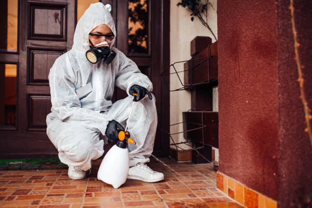 Attic and Crawl Space Rodent Treatment in Scaggsville