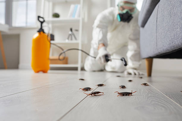 Commercial Rodent Management in Scaggsville